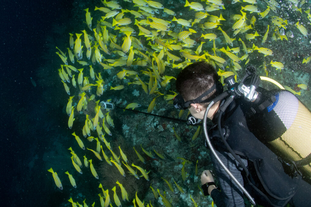 insta x4 underwater shooting fish